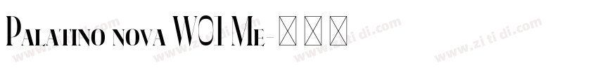 Palatino nova W01 Me字体转换 Palatino nova W01 Me字体转换